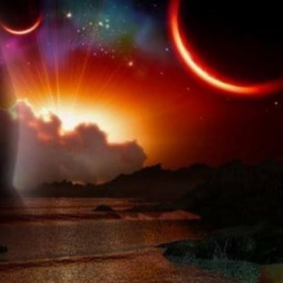 Meet your Posher, Isabelle - Picture 1 of 1